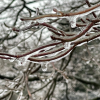 Ice Storm Incoming! Here’s Why Freezing Rain Could Cause Major Disruptions Across Three States