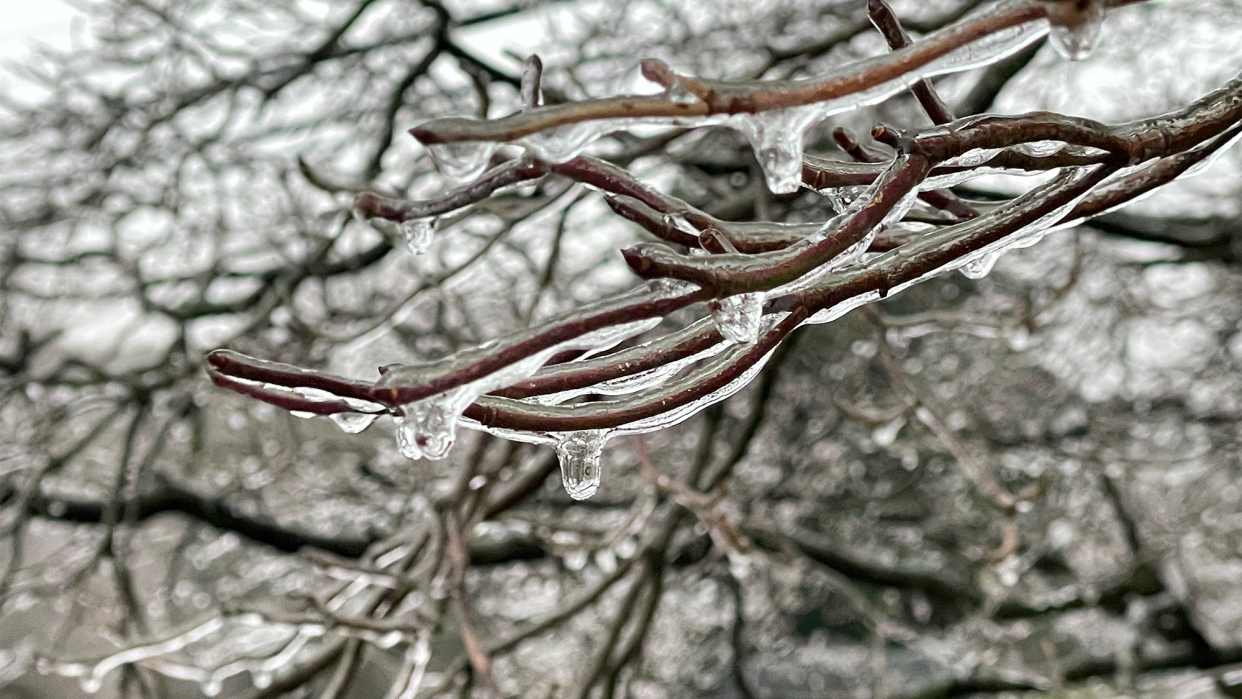 Ice Storm Incoming! Here’s Why Freezing Rain Could Cause Major Disruptions Across Three States