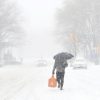 BREAKING: Deadly Snowstorm to Hammer Oneida & Onondaga – Road Closures, Whiteout Conditions, and Power Outages Expected