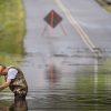 Nonstop Downpours and Thunderstorms Set to Drench Tennessee – Flooding Possible